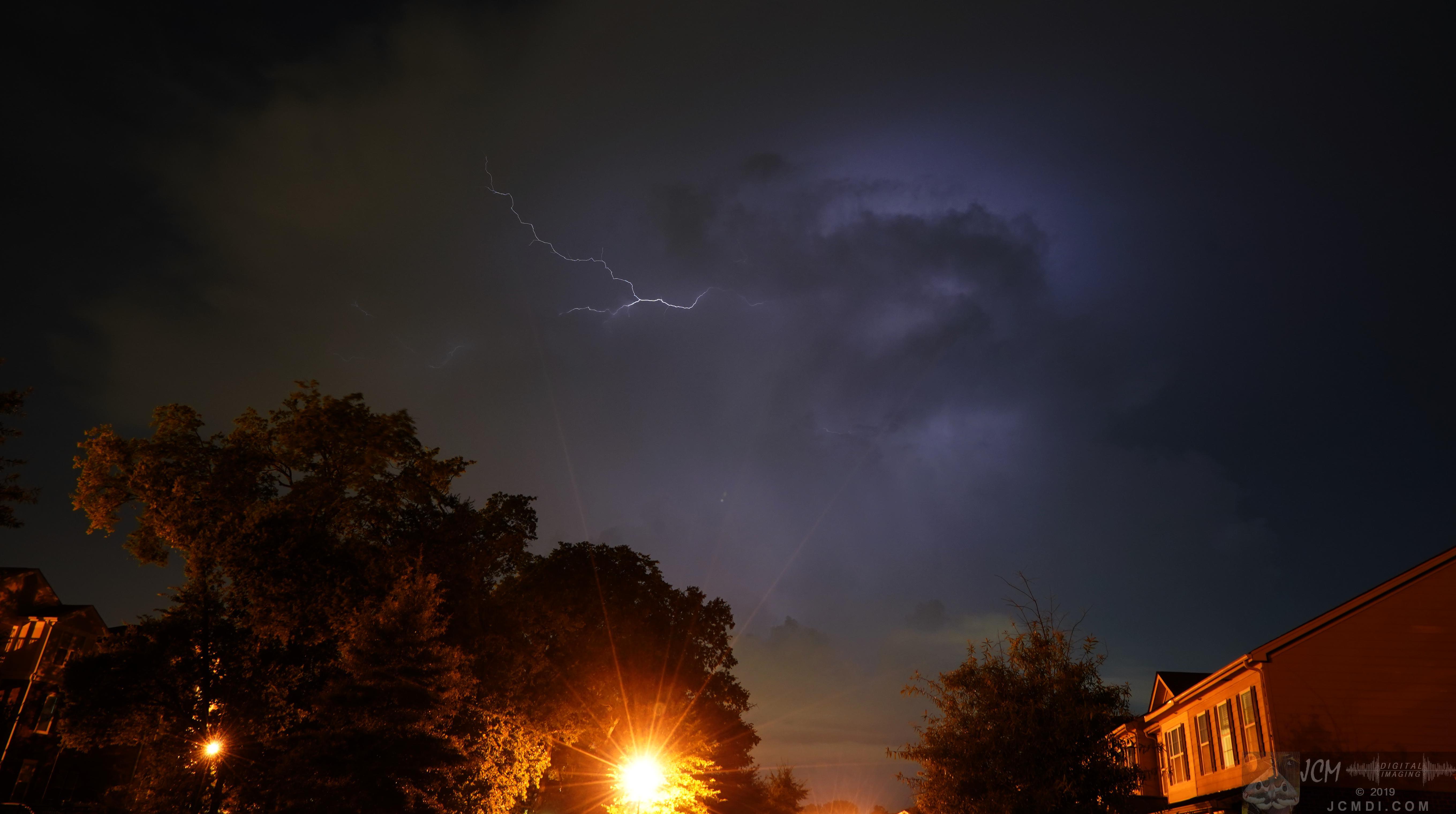 Long exposure Fireflies in woods near Old Hickory Lake TN